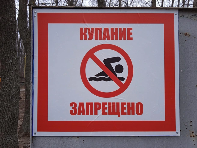 В мэрии сообщили, где ульяновцам разрешат купаться этим летом | Источник: Дмитрий Сильнов / 173. RU