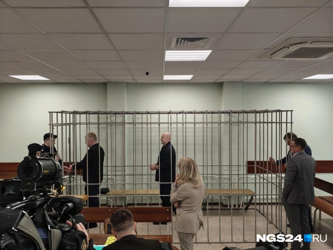 Алексей Давыдов и Владислав Логинов (за решеткой) | Источник: NGS24.RU