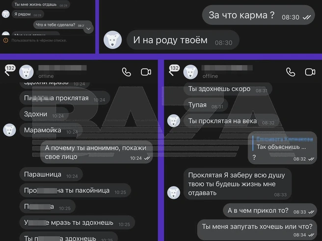 Аноним угрожает облить девушку кислотой и искупаться в её крови. | Источник: Baza / t.me
