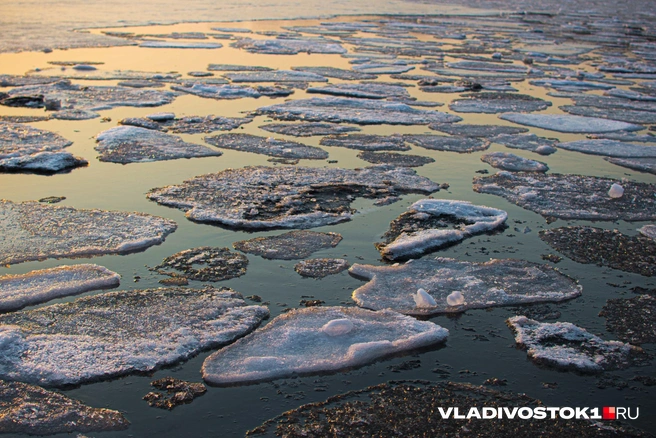 В районе синих гаражей в Тавричанке утонули автомобили рыбаков | Источник: Елена Буйвол / VLADIVOSTOK1.RU