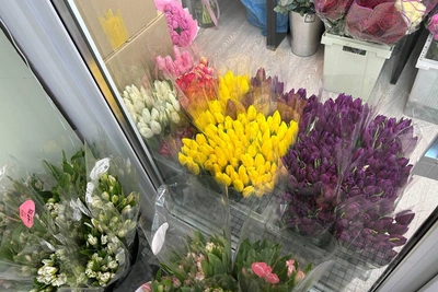 Воронеж 4 марта: задержан чиновник, найден сын бизнесмена