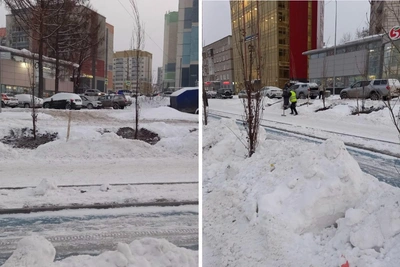 В Перми деревья сажают в снег — власти объяснили зимние работы