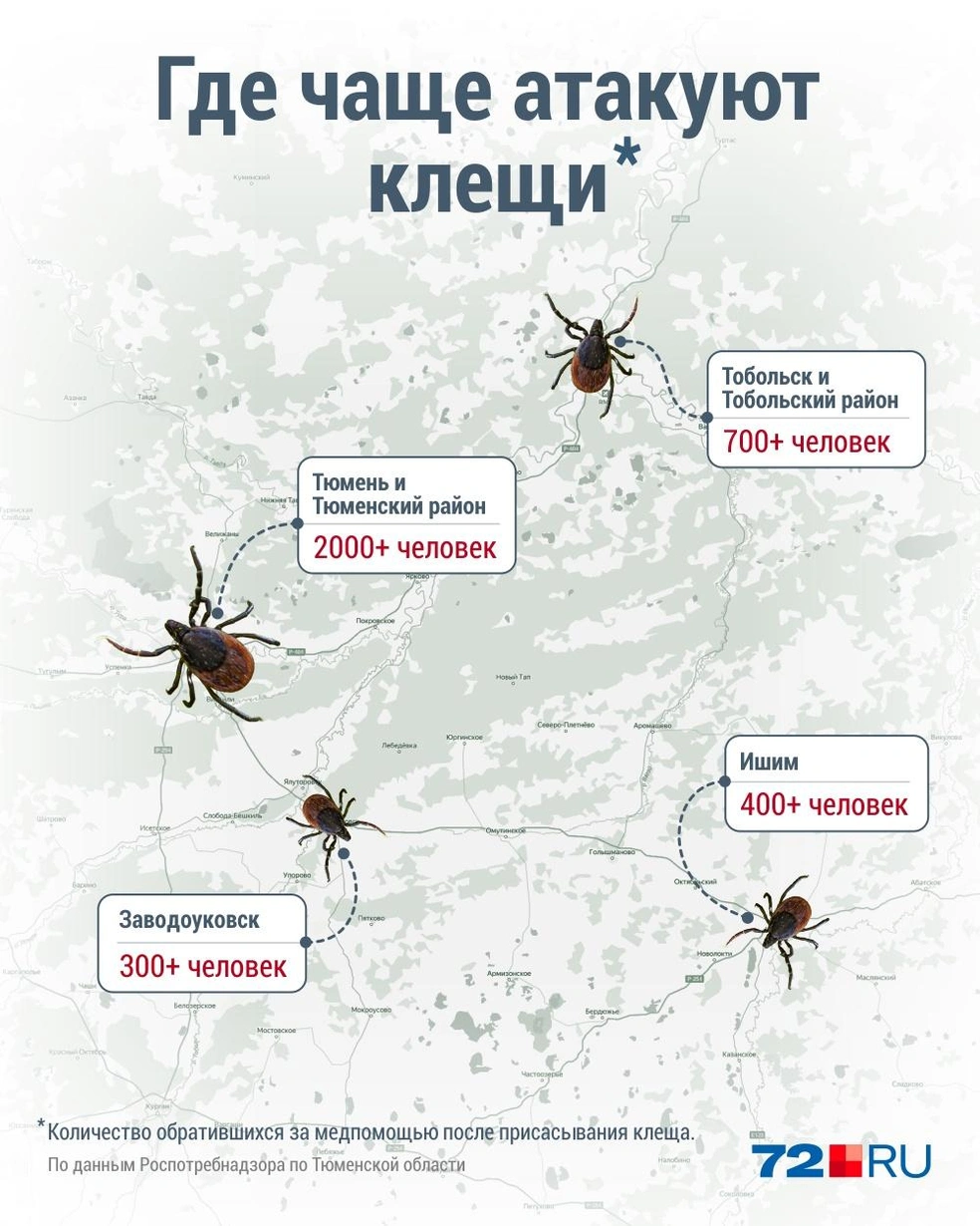 Источник: Дмитрий Гладышев / 72.RU
