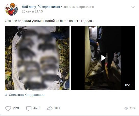 Светлана Кондрашова в числе первых обвинила детей в убийстве щенят | Источник: скриншот с сайта