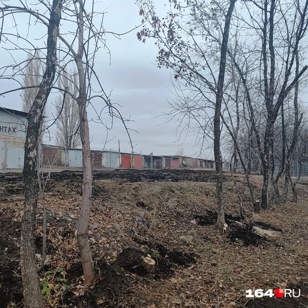 Источник: Сергей Гендин / 164.RU