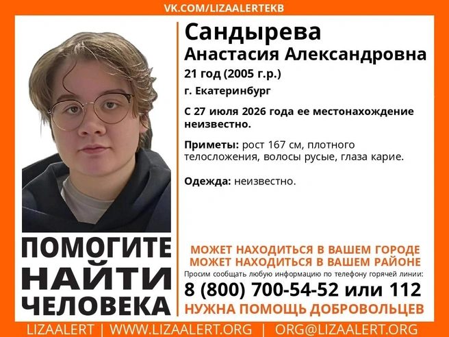 Источник: «ЛизаАлерт»