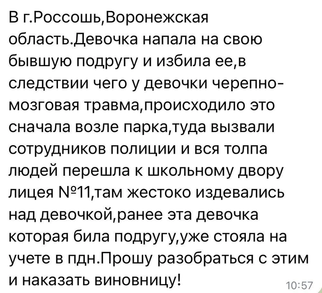 Обращение, которое получила Глава лиги безопасного интернета из Россоши | Источник: Екатерина Мизулина / t.me