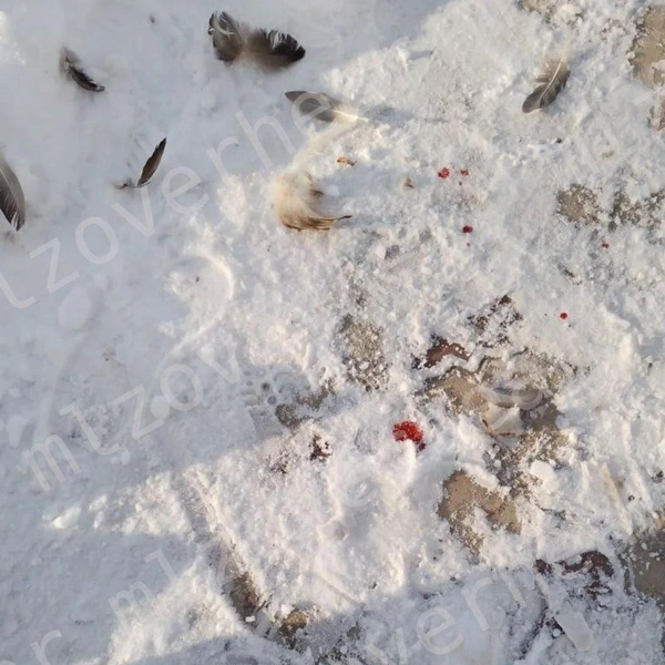 Источник: Подслушано Мелеуз / vk.com