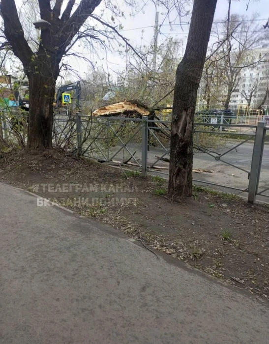 Источник: ВКазани поймут / T.me
