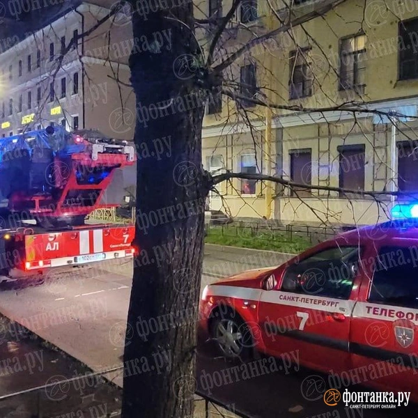 Источник: «Фонтанка.ру»