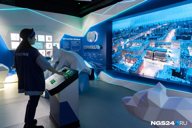 Полярные мишки «Норникеля» | Источник: Мария Ленц / NGS24.RU