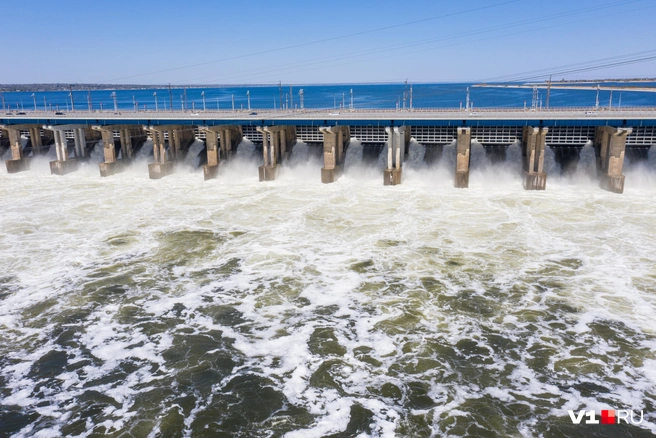 Строительство плотины ГЭС оказало сильное влияние на обводненность поймы | Источник: Алексей Волхонский / V1.RU