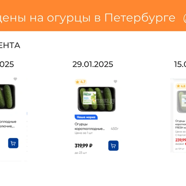 Источник: Светлана Григошина
