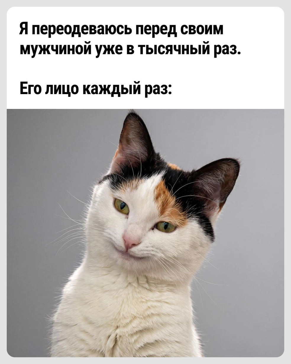 Любуется зрелищем, так сказать | Источник: Городские медиа