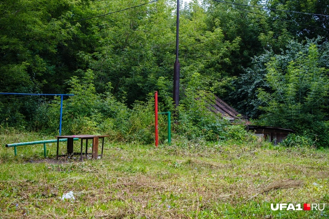 Будто полянка в лесу | Источник: Булат Салихов / UFA1.RU
