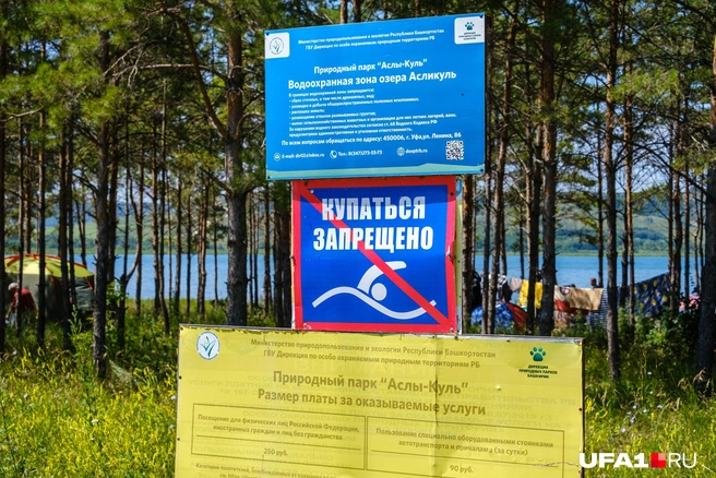 Разводить костры нельзя, но этого, к сожалению, мало кого останавливает | Источник: Булат Салихов / UFA1.RU