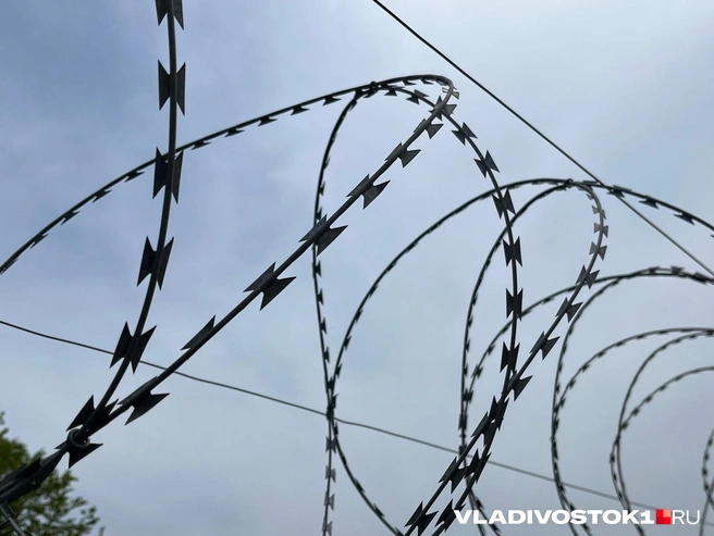 Новое СИЗО будет состоять из трех основных зон | Источник: Елена Буйвол / VLADIVOSTOK1.RU