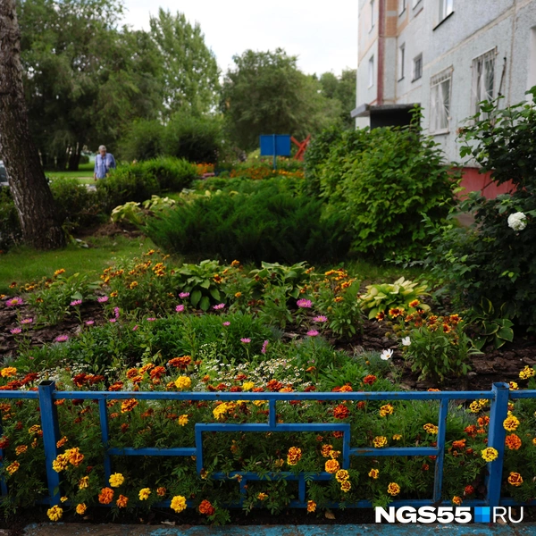 Левобережье утопает в сочной зелени | Источник: Евгений Софийчук / NGS55.RU