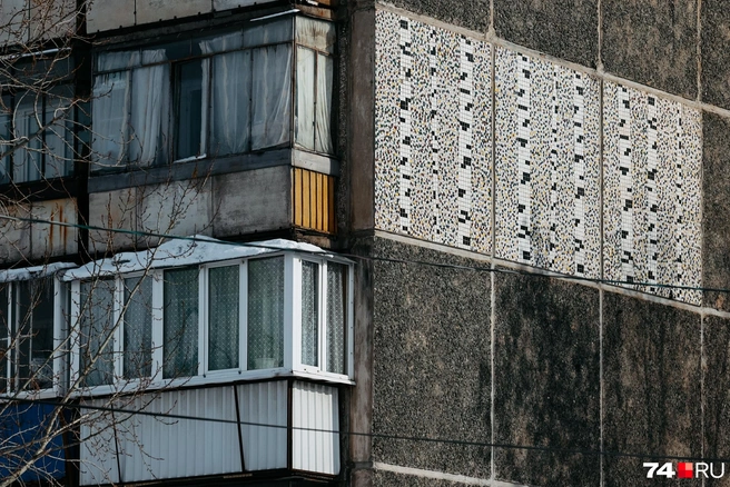 Небольшая березовая роща выложена с торца обычного дома  | Источник: Наталья Лапцевич