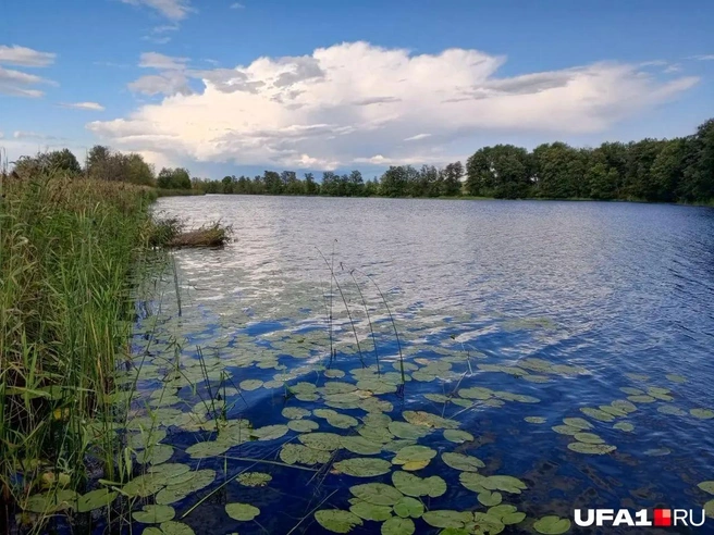 Тишь для гладь — выглядит именно так | Источник: Марина Каримова / UFA1.RU