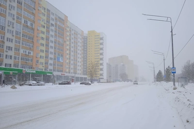 Ульяновск ожидает метель и снегопад 30 января