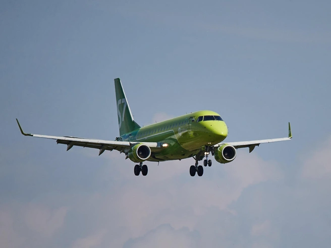 Embraer 170 авиакомпании S7 Airlines столкнулся с птицей при взлете | Источник: Александр Ощепков / NGS.RU