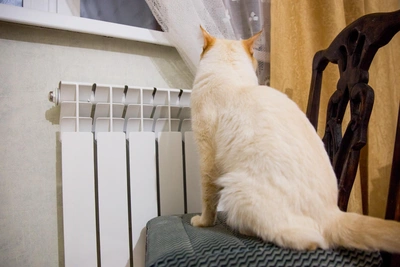 В Архангельске 9 апреля отключат отопление в сотнях домов