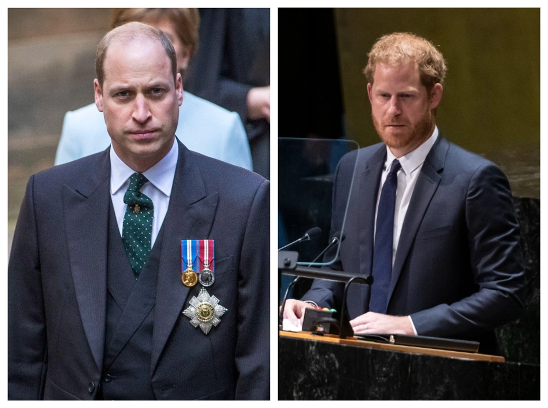 Принц Уильям перед выступлением на церемонии открытия Генеральной Ассамблеи Церкви Шотландии, 22 мая 2021; принц Гарри выступает в ООН в Нью-Йорке, 18 июля 2022 | marieclaire.ru