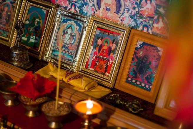 Источник: Ксения Зимина