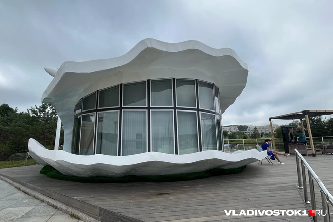 Источник: Елена Буйвол / VLADIVOSTOK1.RU