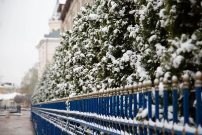 В Забайкалье 11 января прогнозируют снег и ветер