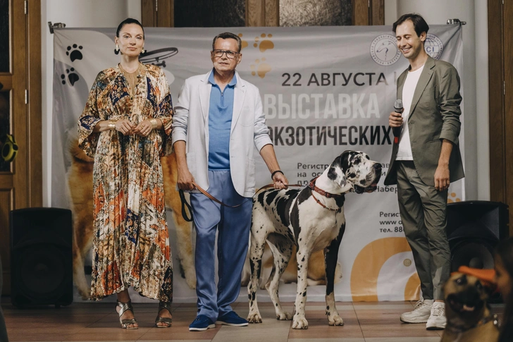 В кино музыкант перевоплотился в грубого бизнесмена Донского