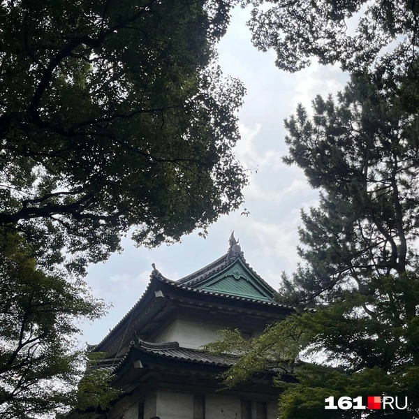 Источник: читатель 161.RU