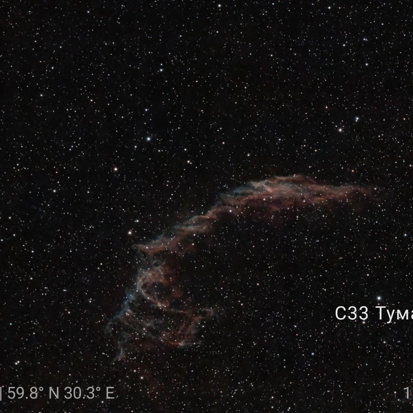 Источник: читатель «Фонтанки» Василий