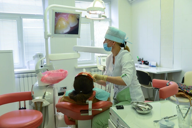 К стоматологам можно будет не ходить? | Источник: Артем Устюжанин / E1.RU