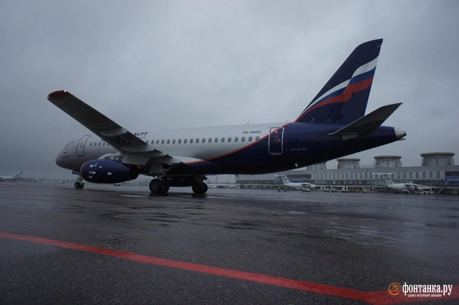 В Кургане пьяный дебошир мешал пассажирам самолета | Источник: Михаил Огнев/ Фонтанка.ру