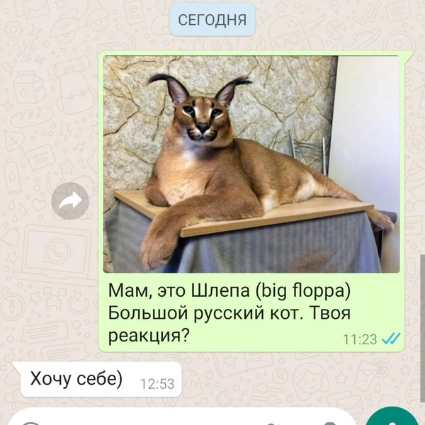 Источник: Соцсети