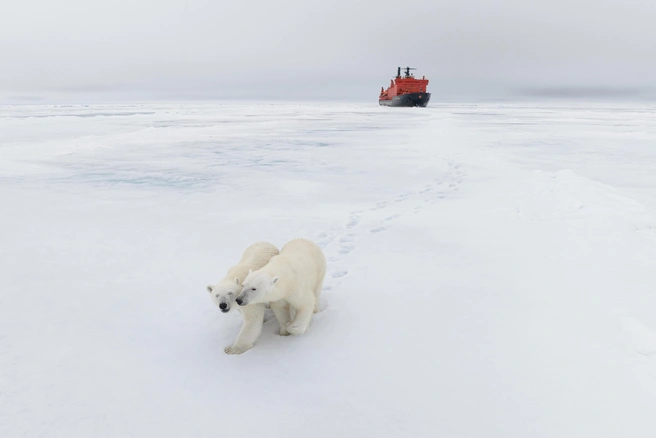 В рабочих поездках на Северный полюс накопилось немало контента&nbsp;— в итоге он оформился в первый полноценный фильм | Источник: Vadim Makhorov / t.me