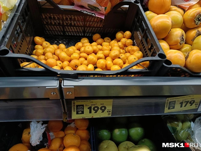 Источник: Анастасия Харитонова / MSK1.RU