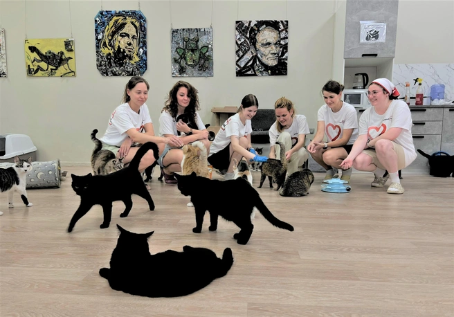 Волонтёры клуба «Добрый Setl» | Источник: ООО&nbsp;«Сэтл Групп»