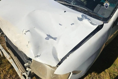 Задержан виновник ДТП с погибшей девочкой в Хабаровске