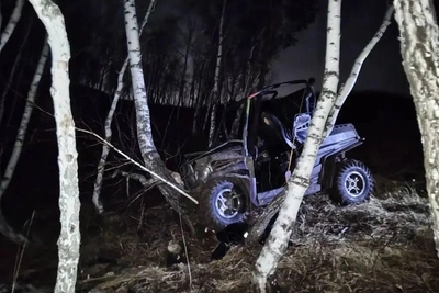 Багги врезался в дерево в Красноярске — водитель погиб