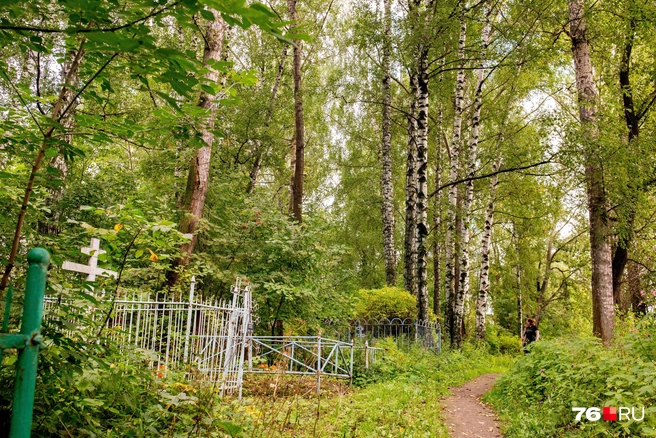 В Барнауле в 2026 году за счёт бюджета похоронили 121 жителя | Источник: Александра Мамонтова / 76.RU