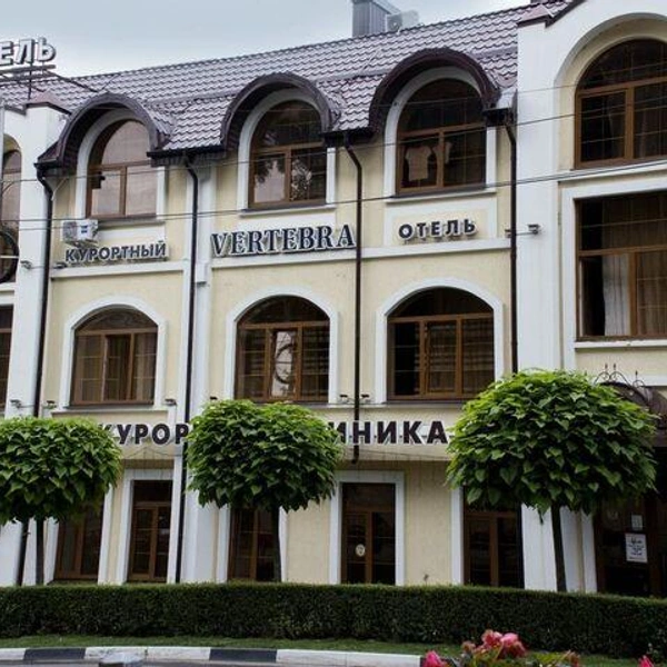 Источник: Vertebra