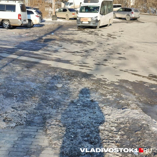 Источник: Елена Буйвол / VLADIVOSTOK1.RU