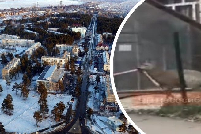 Очевидцы сняли кадры, как животное мечется по городу | Источник: kolesolsib/vk.com / gorodarus.ru