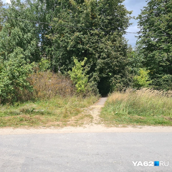 Чтобы попасть к детскому саду, нужно перейти дорогу и оказаться на этой тропинке | Источник: Светлана Коновалова / YA62.RU