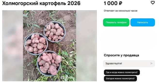 Источник: Avito.ru