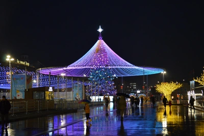 Заморозки и потепление в Тульской области на Новый год