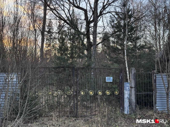 Ворота, кажется, не открывали годами | Источник: Алина Мельникова / MSK1.RU